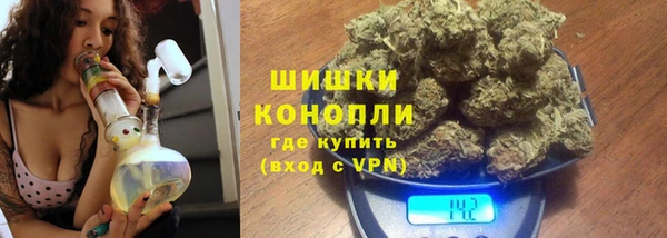 соль ск Волосово