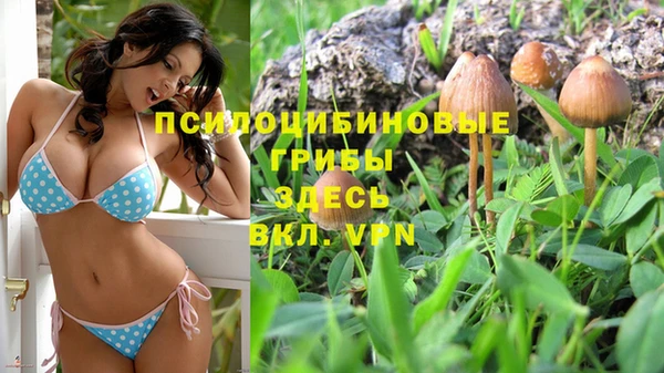 COCAINE Верея